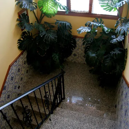 Hostal Casa Barranco-3